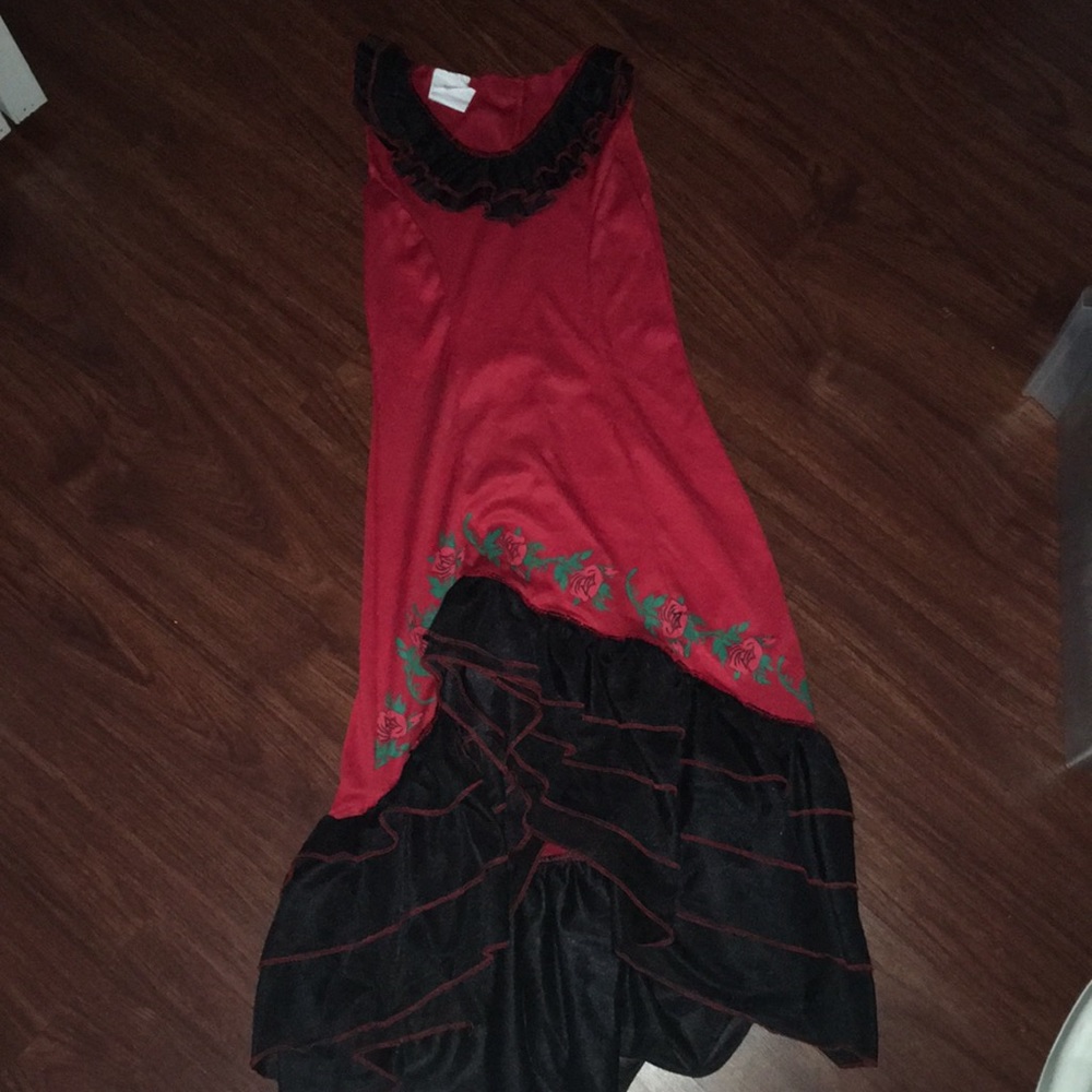 Senorita Flamenco Dancer Dress Halloween Costume